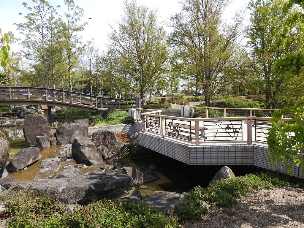 🏞️ 미즈노모리 수생식물공원(구사쓰시리쓰 스이세이쇼쿠부쓰코엔 미즈노모리) 이미지 6